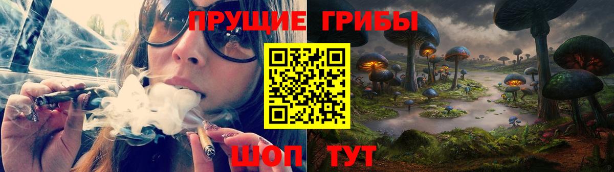 АМФ   Метамфетамин  Заводоуковск  МДМА  Каннабис  Вход с VPN  МЕФ кристаллы  ГАШИШ  МЕФ  Где найти наркотики? 